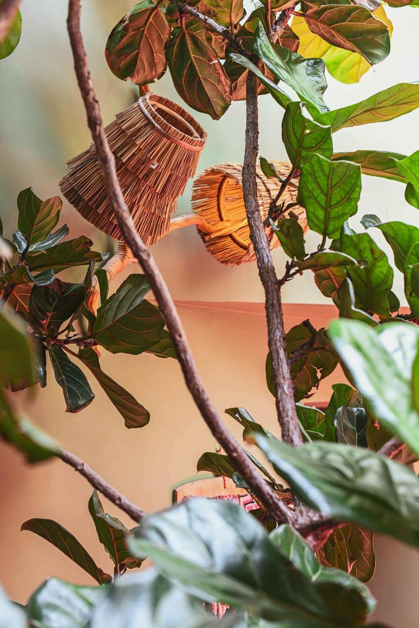 Riad Olive Privatif 4 Personnes Hotel Marrakesh Exterior photo